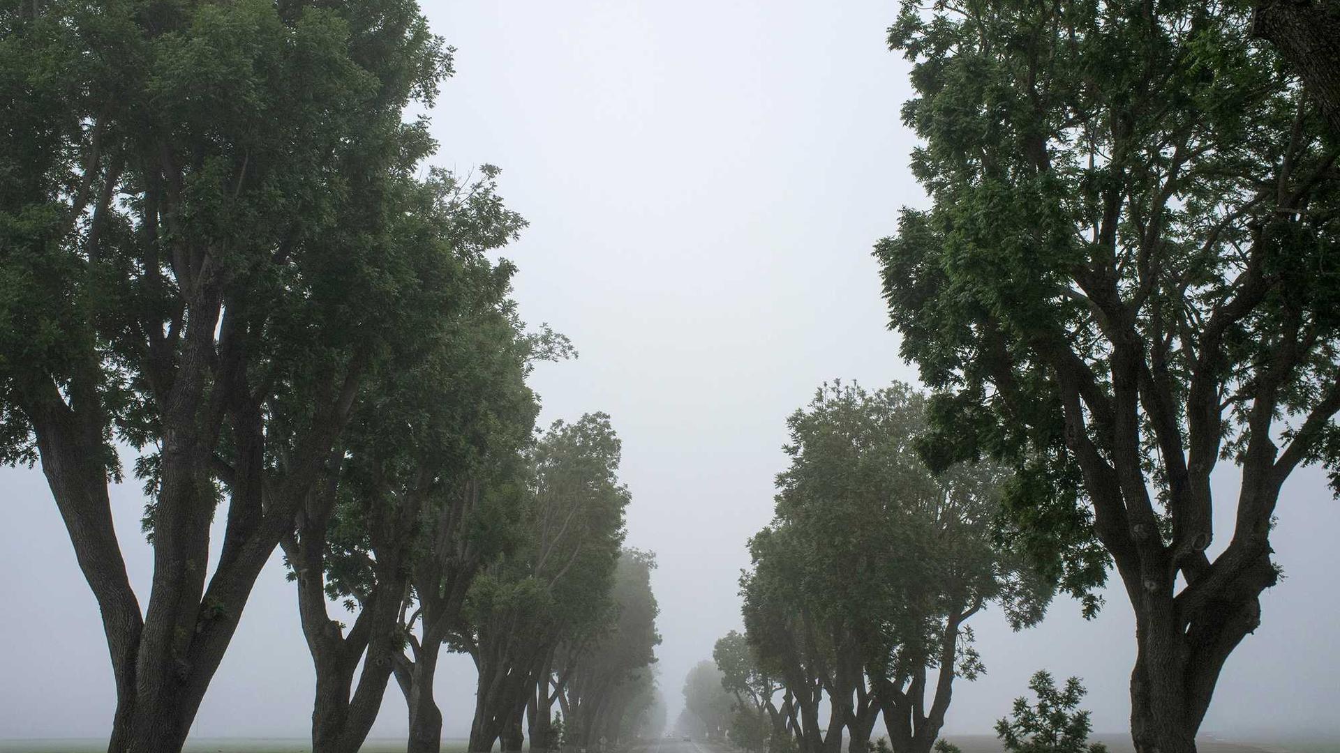 电影海报